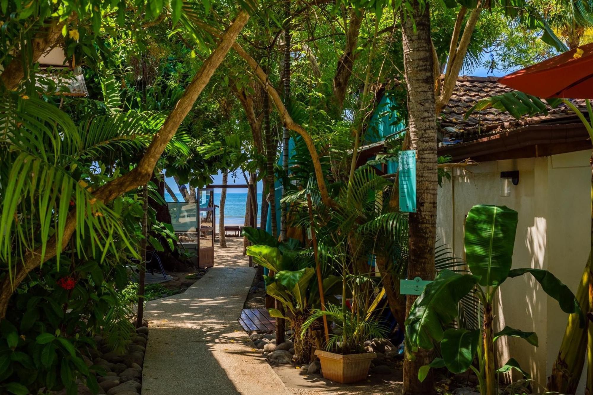 The Coast Beachfront Hotel 塔马林多 外观 照片